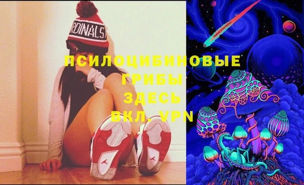 тгк Балахна