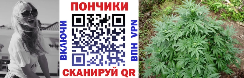 блэк спрут сайт  Печора  Марихуана семена 